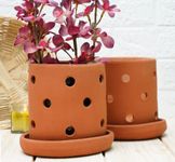 GOLD DUST Orchid Pots, Orchid Planter, Terracotta Pots for Plants, 6 Inch Pots for Plants, Gamley for Plants, Terracotta Planters, Orchid Pots 6 Inch (Pack of 2)