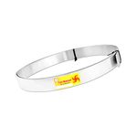 TREE MAISON CORONATING HOMES Vastu Stainless Steel Strip | Width-1 Inch | Thickness -1mm | Length- 8 Feet Approx | Zone Balancing |Toilet Correction | Main Entrance | Strip Remedy | Pack of 1