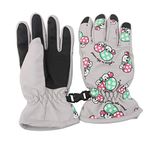 Snowboard Gloves