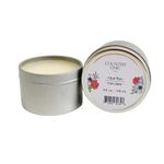 Furniture Wax For Painted Furniture