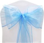 Time to Sparkle Pack of 10 Organza 