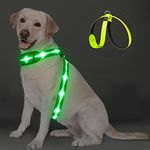 PZRLit Light Up Dog Vest Harness USB Rechargeable, Soft Padded, Adjustable & Reflective Light for Dog Harness at Night, LED Dog Harness for Camping Safety Walking for Dark-Large, Green