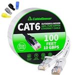 Cat 6 Ethernet Cable 100 ft, Indoor