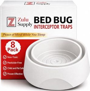 Bed Bug In