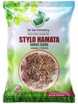 SRI SAI FORESTRY Stylo Hamata Grass Seed - Grass Seeds - Fodder Seeds - Grass Seeds For Animal Fodder, Cow Farming, Goat Feed, Animal (Stylosanthes Hamata Seed) Pack of 500 Grm