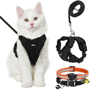 Buraq Pets