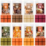 SALUBRITO Fall Scented Wax Melts, Strong Scented Autumn Soy Wax Cubes/Tarts Variety Gift Set, Pumpkin Spice, Cinnamon, Spiced Cider, Snickerdoodle, Balsam Pine, Candy Corn, Fall Harvest, Apple Pie