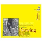 Strathmore 300 Series Drawing Paper Pad, Glue Bound, 14x17 inches, 50 Sheets (70lb/114g) - Artist Paper for Adults and Students - Charcoal, Colored Pencil, Ink, Pastel, Marker