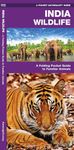 India Wildlife: A Folding Pocket Guide to Familiar Animals (A Pocket Naturalist Guide)