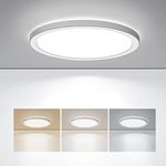 BLNAN LED Flush Mount Ceiling Light