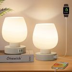 Touch Bedside Table Lamp Set of 2 - Small Modern Nightstand Lamp for Bedroom with USB C+A Charging Ports, 3-Way Dimable Desk lamp with White Opal Glass Lamp Shade, 3000K LED Bulb, Simple Design