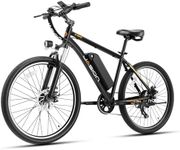 Jasion EB5 Electric Bike for Adults