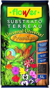 Flower Sub