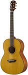 Yamaha CSF1M Western Guitar -Compact, Practical and Elegant, Acoustic Guitar with a Rich Sound, Whether You’re on the Move or in the Studio, Includes Padded Hard Bag, in Vintage Natural Colour, ¾ size