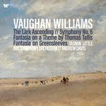 Vaughan Williams: The Lark Ascending, Symphony No. 6 & Fantasia on a Theme by Thomas Tallis [VINYL]