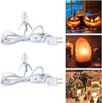 Brightown Accessory Cord with One LED Light Bulb - 6ft Cord with On/Off Switch for Night Lights, Halloween Pumpkin, Blow Mold, Christmas Village House, Holiday Ceramic Trees, Craft Projects, 2 Pack