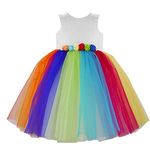 Stanwells Kids Baby Girls Knee Length Birthday Frocks Net Flared Ruffle Pattern Sleeveless Colourful Flower Frock Dress Embroidery Fancy Dress for Girls Birthday Gift for Daughter (Rainbow 5-6 Years)