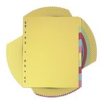 Elba A4 10 part file dividers, Assorted, Pack of 25 Folders