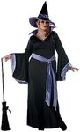 California Costumes Women's Plus Si