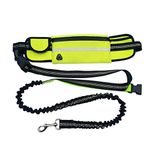 ANTOLE Hands Free Dog Leash for Running Walking Training Hiking Retractable Bungee Dog Running Waist Leash for Small Medium Dogs Adjustable Waist Belt Reflective Stitches Green