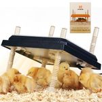 Pitalok Brooder Heater for Chicks: Chick Brooder Heating Plate with Easy- Cleaning Plate Poultry Coop Heater Chicks Warmer 12" x 12" for 20 Chicks Adjustable Height Brooding Heater 22 Watts