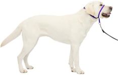 PetSafe Gentle Leader No-Pull Dog H