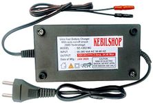 12v Auto Battery Chargers