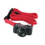 PetSafe Ultralight Receiver Collar for Dogs and Cats over 3.6 kg, Waterproof with Tone and Static Stimulation Red