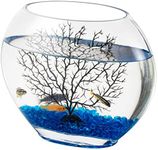 hygger Mini Glass Oblate Fish Bowl 