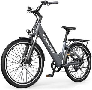 Funhang Electric Bike 1000W Peak Ebike