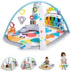 Baby Einstein Baby Gyms