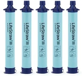 LifeStraw 