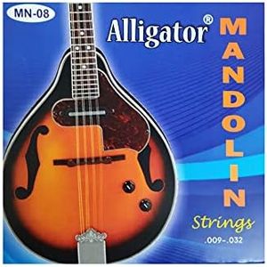 Alligator 