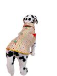 Bhumi Enterprises Dog Sherwani Ethnic Wear Diwali Wear Dress Dog Sherwani or Wedding Dress Pet Outfit for Dog Dog ClothesElegant Dog Costume Dog Dress (Banarasi Sherwani Polka Dot Goldwhite) (24)