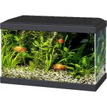 Ciano Aqua 20 Aquarium with LED Lights & Filter BLACK