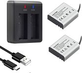 GeeKam Action Camera Battery - 2 x 