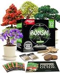 Bonsai Tree Kit, Grow Your Own: Pre