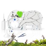 ELNMLHT Ant Farm Castle, Ant Nest Farm for Live Ants, Ant Colony Observation Kit, Ant Habitat Science Learning Kit for Students Kids Children