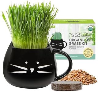 The Cat Ladies Organic Cat Grass for Indoor Cats - Growing Kit with Organic Seed Mix, Soil and Black Cat Planter. Natural Hairball Control and Digestion Remedy, Cat Gifts