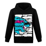 LQBNZQZ Hoodies for Boys Girls Pullover Sweatshirt Kids Cartoon Long Sleeve Shirt Classic Tops Jumper for Birthday (CA/US, Age, 12 Years, 13 Years, Black3)