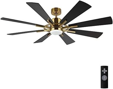 WINGBO 60"