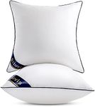 Siluvia 18"x18" Pillow Inserts Set 