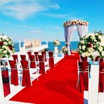 Floordirekt Red Carpet Runner VIP Carpet Aisle Runner Event Runway Carper Premier Wedding Walkway Runner (100 x 100 cm)