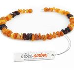 Baltic Amber Collar for Dogs and Cats - Organic and Natural Necklace suitable for small, medium, and large pets - crafted from 100% Genuine Baltic Amber Beads.