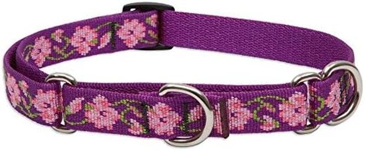 LupinePet Originals 3/4" Rose Garden 14-20" Martingale Collar for Medium and Larger Dogs