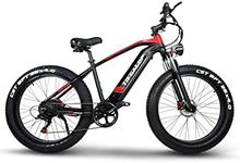 Electric Fat Tire Bike, 1000W Ebike