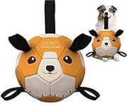 Akongy Large Soccer Ball for Dogs w