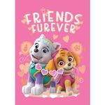 Paw Patrol Friends Furever Fleece Blanket for Kids - Super Soft Blanket Fleece Throws 100 x 140cm - Gifts for Kids