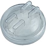 Pentair Aquatic Systems 17500-0003 Trap Lid Replacement