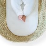 Clair de Lune Hypoallergenic Noah Pod/Palm Moses Basket Mattress - 74 x 28 cm